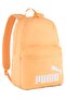Phase Backpack Backpack