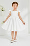 Girl's Selda Model Ruffle Sleeve Gathered Waist Satin Dress Graduation Birthday Party Dress