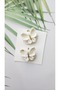 Hairless Baby Buckle Trend Butterfly Set of 2 Handmade Baby Gift Newborn Baby Buckle - 2
