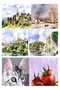 36 Colors Tablet Watercolor and A5 Ring Binder Watercolor Block Paper A5 210Gr 20 Sheets Fine Textured Stone Watercolor - 6