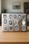 Dont Starve Video Game Phone Laptop Bullet Journal Adhesive Foil Sticker Pack (25 Pcs) - 4