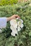 Trend Luxury Pearl Detailed 10 Pieces White Gala Bouquet – Special Design Bridal Bouquet - 2