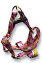 Dog Collar (Chest Collar) Travel Strap Set with Plush Toy - 5