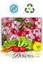 Glass Cutting Board Chopping Board Presentation Board Cherries and Flowers Dowry Gift 35X25 cm - 4