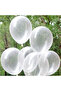 Transparent Balloon – with Balloon Land Quality - 2