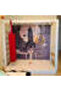 SPACE MONKEY BAR WITH SINGLE PANEL CLIMBING WALL - 7