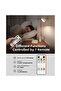 LED Wall Mounted Light - 2