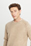 Men's Beige Standard Fit Regular Cut Crew Neck Jacquard Knitwear Sweater - 4