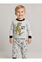 Boys' Dinosaur Printed Long Sleeve Pajama Set - 5