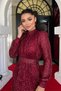 Sequin Tulle Sequin Fabric Gathered Detailed Kilos Dress - Bordo - 3
