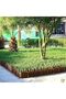 FFD Wooden Fence Border for Garden - Decorative Partition Wall Landscaping Edging Panels 50x160cm - 6