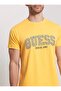 Embroidery Processing Logo T-Shirt M4Gi62I3Z14 - 2