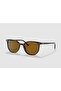 Rb2197-902/33 52 Unisex Sunglasses Brown Bone Frame Brown Glass - 2