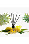 Ananas Odorizant Camera 120 ml