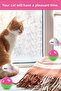 Movable Cat Ball - Mouse Pilgrim Sleeping Kitten Toy, Pet Shop Product - 6