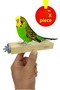 Venty Flat Platform Bird Perch 15 cm 1 Piece - Budgie, Cockatiel, Lovebird