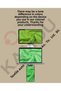 Sofa Cover Herringbone 150X170Cm, Armchair Cover, Tv Blanket, Multi-Purpose Throw - 6
