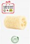 Multi-Purpose Skin-Friendly Pore Cleaner Soft 100% Organic Pumpkin Fiber