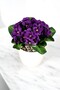 Artificial Flower Decorative Violet Purple - 3