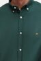 Ds Damat Slim Fit Green Oxford Button Collar Easy-Iron Cotton Shirt with Embroidery Detail - 3
