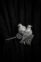 Curtain Accessory Polyester Sleeve Curtain Holder Bird Model Premium Curtain Iron 1 Piece