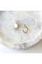 Alvin Gold Steel Earrings