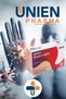 Unien Quercetin/Ahcc, Dietary Supplement Containing Indole-3-Methan, Quercetin, Folic Acid and Selenium.