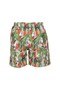 Parrot Patterned Boys' Swim Shorts - 2
