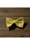 Daisy Embroidered Hairless Baby Hair Clip (1 Piece)
