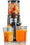Slow Juicer with Oversized Feed Chute, Full Copper Motor, Advanced Juice-Pomace Separation wi - 6