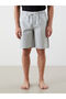 Standard Fit Men's Pajama Bottom Shorts - 2