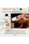 Cold Pressed Organic Apricot Oil for Skin, 100ml – Unrefined & Pure Apricot Oil for Hair Growth & Nourishment - 4