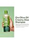 Olive Oil Creamy Aloe Shampoo 370 Ml(12.5Fl. Oz.) (Packaging May Vary) - 7