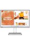 L22i-40 22 inch IPS Panel FullHD 75Hz Gaming Monitor - 4