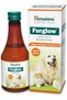 FurGlow | Controls Hair Shedding, Flaky Skin, and Dandruff for Dogs of all Ages| 200 ml