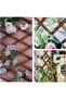 FFD Expandable Wooden Garden Fence – Adjustable Privacy Trellis for Indoor & Outdoor Use 75cm - 8