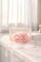 Flower Transparent Gift Decorative Soap Hand Made Special Design - 3