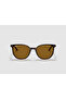 Rb2197-902/33 52 Unisex Sunglasses Brown Bone Frame Brown Glass