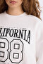 Loose Fit Crew Neck Printed Thick Fabric Sweatshirt E3388Axns - 5