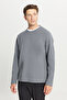 Men's Gray Cotton Standard Fit Regular Cut Crew Neck Sweatshirt
