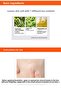 A'Pıeu Start up Pore Primer - Evening Skin Tone and Providing a Smooth Look - 4