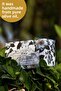 Natural Elegance Gardenia Olive Oil Solid Soap with Olive Oil Hand Soap Moisture Balancing 250 gr - 3