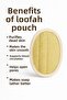 100% Natural Pumpkin Scrub Fiber Anti-Cellulite and Ingrown Hair - 5