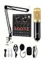 Professional Studio Microphone Set
