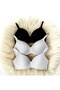 Women's Lotus (PADDED) Non-wired Shaping 3-Pack Bra Set