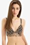 Leopard Patterned Padded Lace Bralet-Fall in Love E6986Ax25Sp - 3