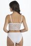 Bralet Lace Fixed Cup Bra Suit 1310 - 4