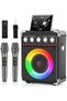 Karaoke Machine With 2 Microphones: Portable for Adults Kids, Bluetooth Speaker With Bass/Treble - 2
