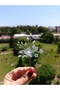 Two Pieces of Hairpin Design Hairpin, Bridal Hairpin, Special Occasion Hairpin, Bun Hairpin - 6