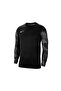Men's Goalkeeper Jersey m Nk Df Park Iv Jsy Ls Gk